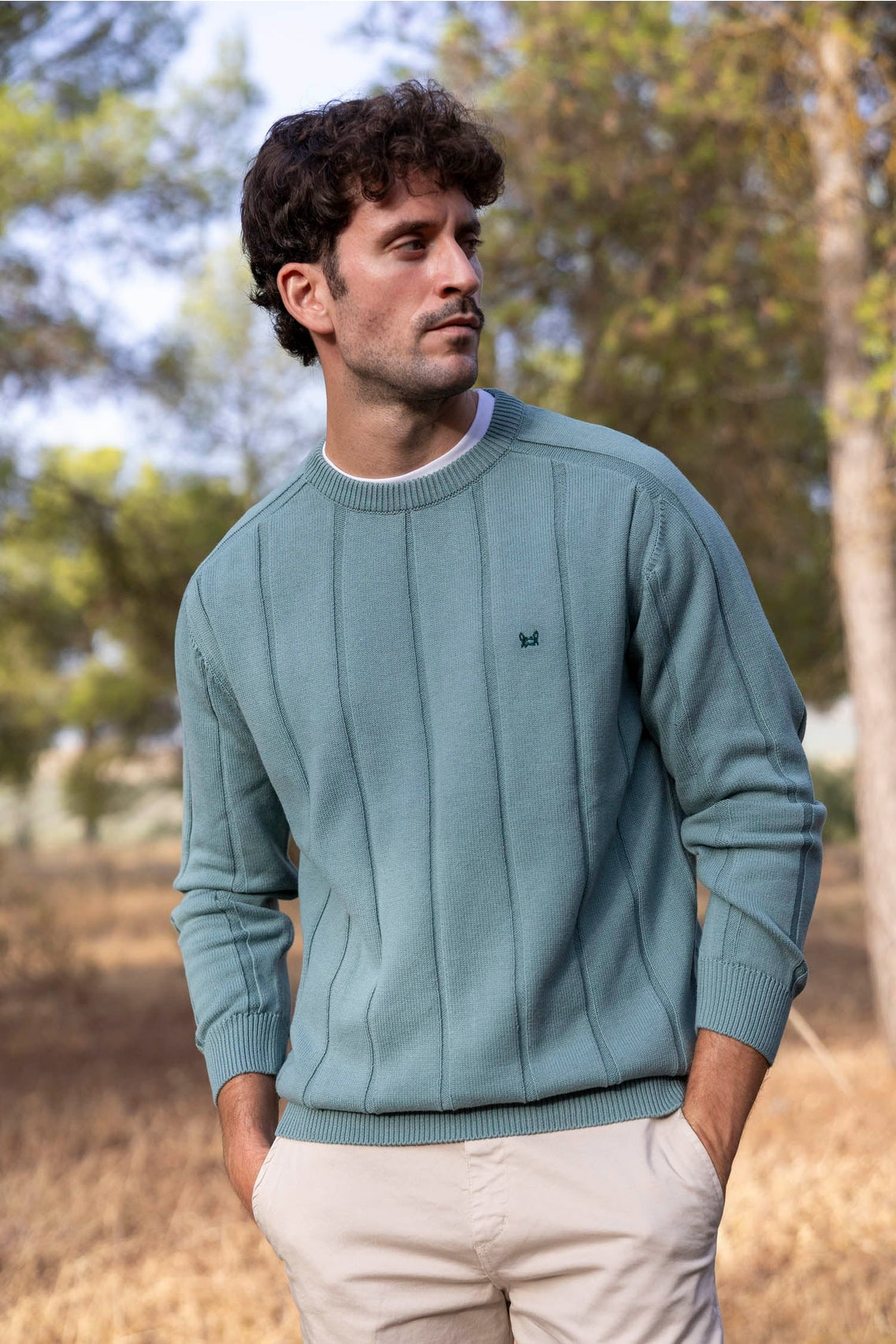 Pull à rayures verticales vert moyen