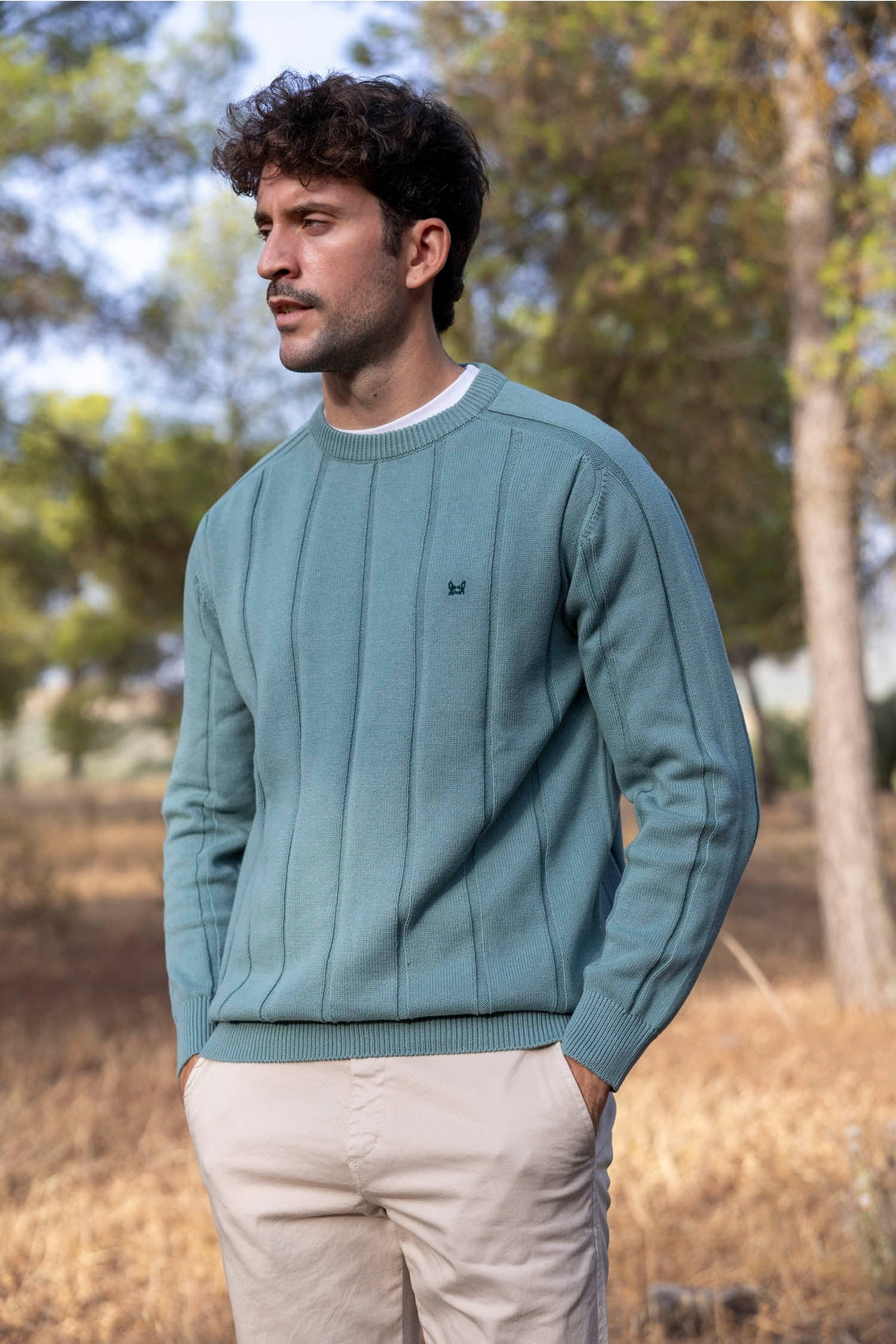 Pull à rayures verticales vert moyen