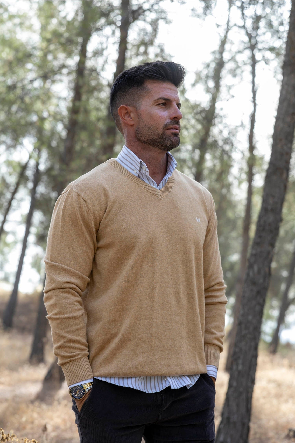 Pull basique col en V camel